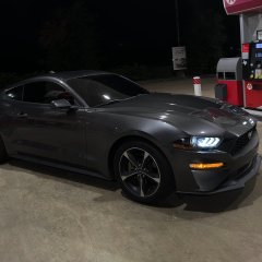 RexyModifications