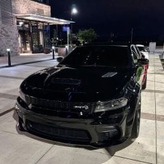 teddy224