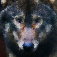 Nolan_8024