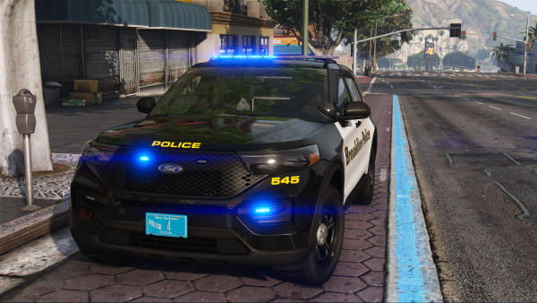 Brookline Police Unit 545