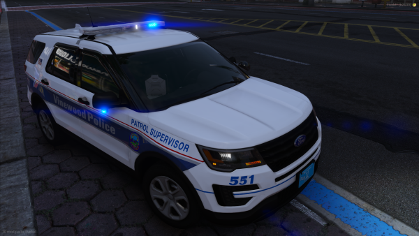 Brookline Police 551