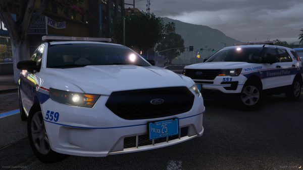 Brookline Police 559