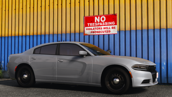 Unmarked 2020 Charger