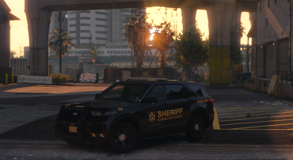 Schenectady County Sheriff Office 2020 FPIU