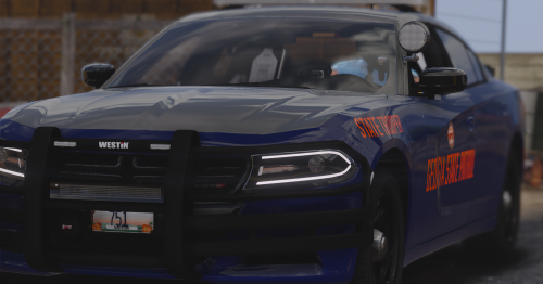More information about "2019 Dodge Charger - Georgia State Patrol Unit #751"