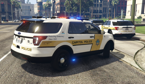 More information about "Capitol Police Mini Pack"