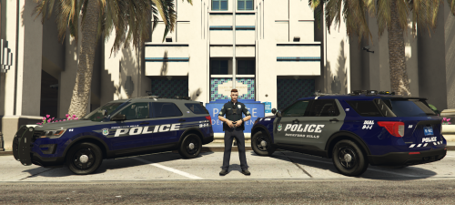 More information about "Rockford Hills PD Livery Mega Pack"