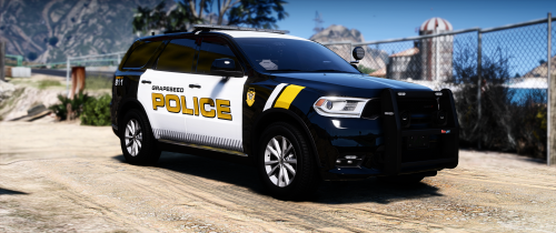 More information about "GTPD - SEVIERVILLE PD BASED - LIVERY PACK -  (REFLECT)"