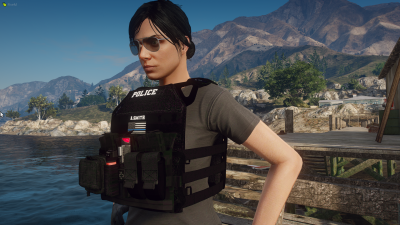 More information about "Female Jumpable Plate Carrier"