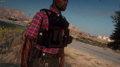 More information about "Male Jumpable Plate Carrier"