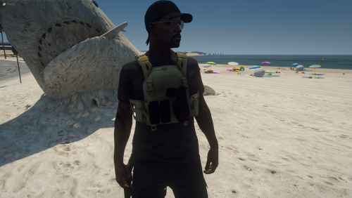 More information about "LPC Plate Carrier Vest"