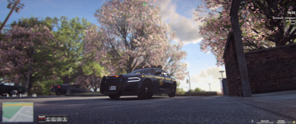 FiveM_b3095_GTAProcess 2025-01-16 19-01-51.png