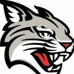 Wildcat Modifications