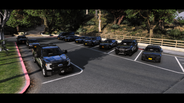LSPD Fleet Pack