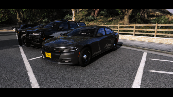 Unmarked Charger