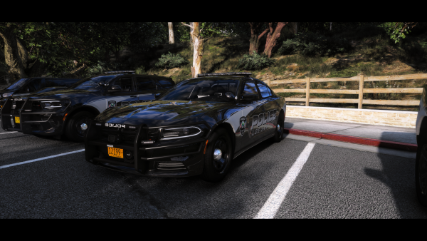 Dodge Charger Marked