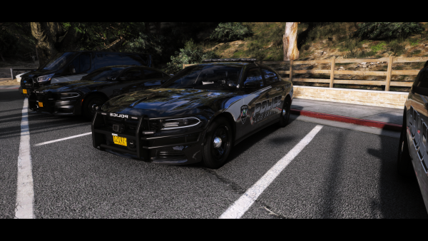 Dodge Charger K9