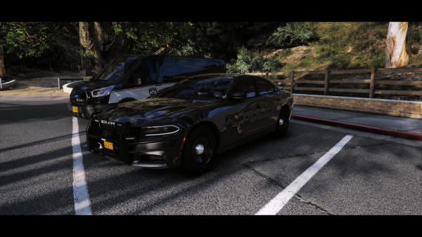 Dodge Charger Slicktop