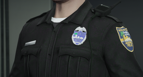 More information about "Jacksonville Police Badges"