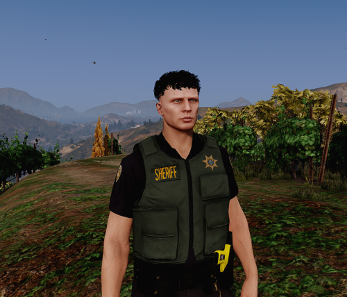 More information about "Wildcat Modifications [ Greene County Sheriff EUP Back BCSO Based ]"