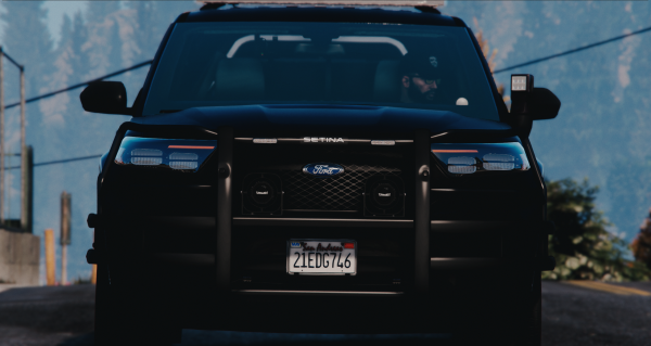 PBPD4.png