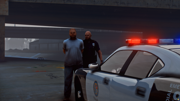 Law Enforcement