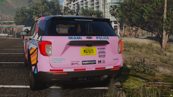 MPD 2020 FPIU Breast Cancer