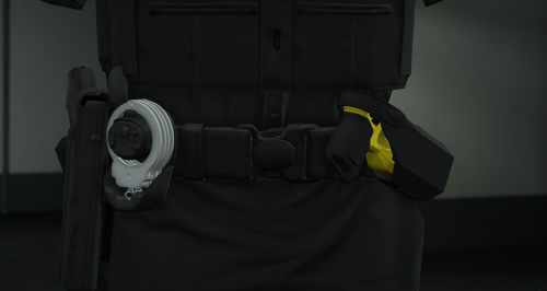 More information about "2 Belt Pack"